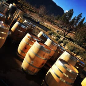 | Winery in Okanagan Falls