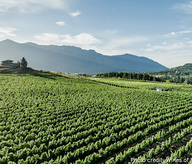 | Winery in Creston