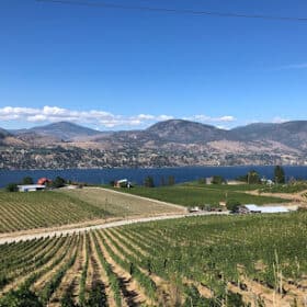 | Winery in Okanagan Falls