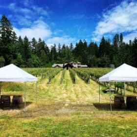 | Winery in Nanaimo