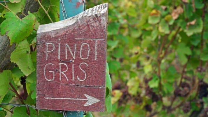 Pinot Gris Wine