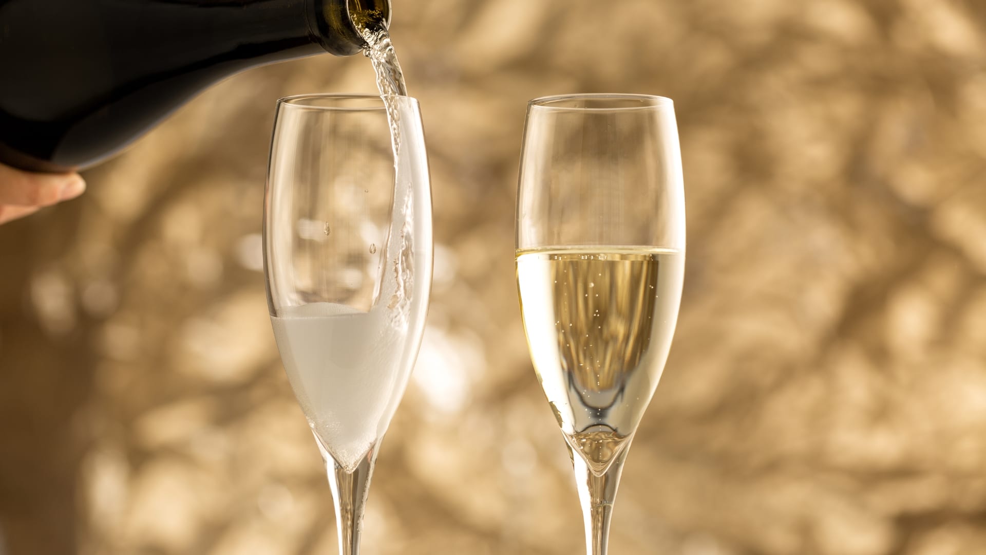 sparkling wine
