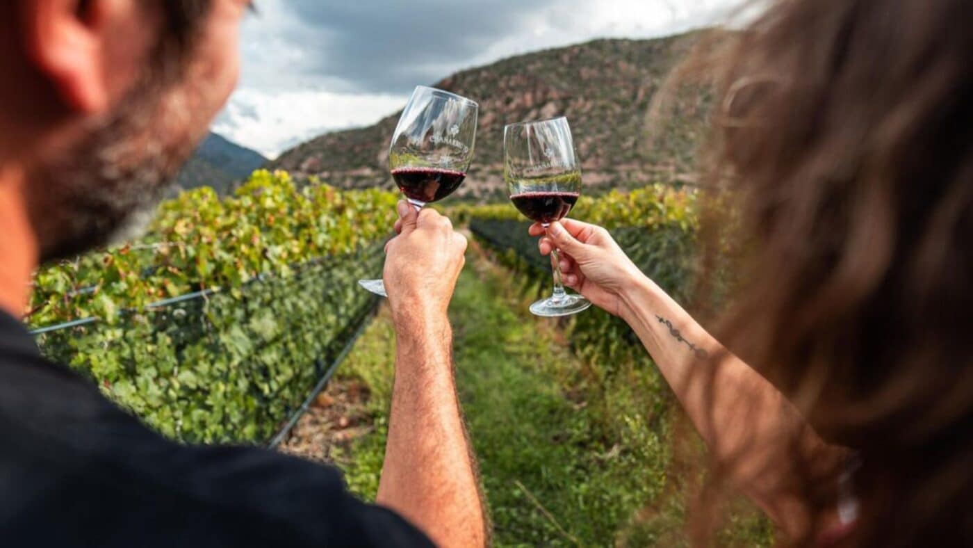 wine tasting tour in Okanagan