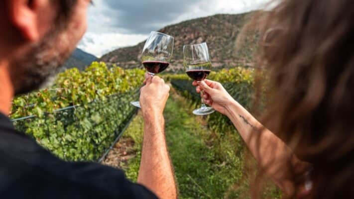wine tasting tour in Okanagan