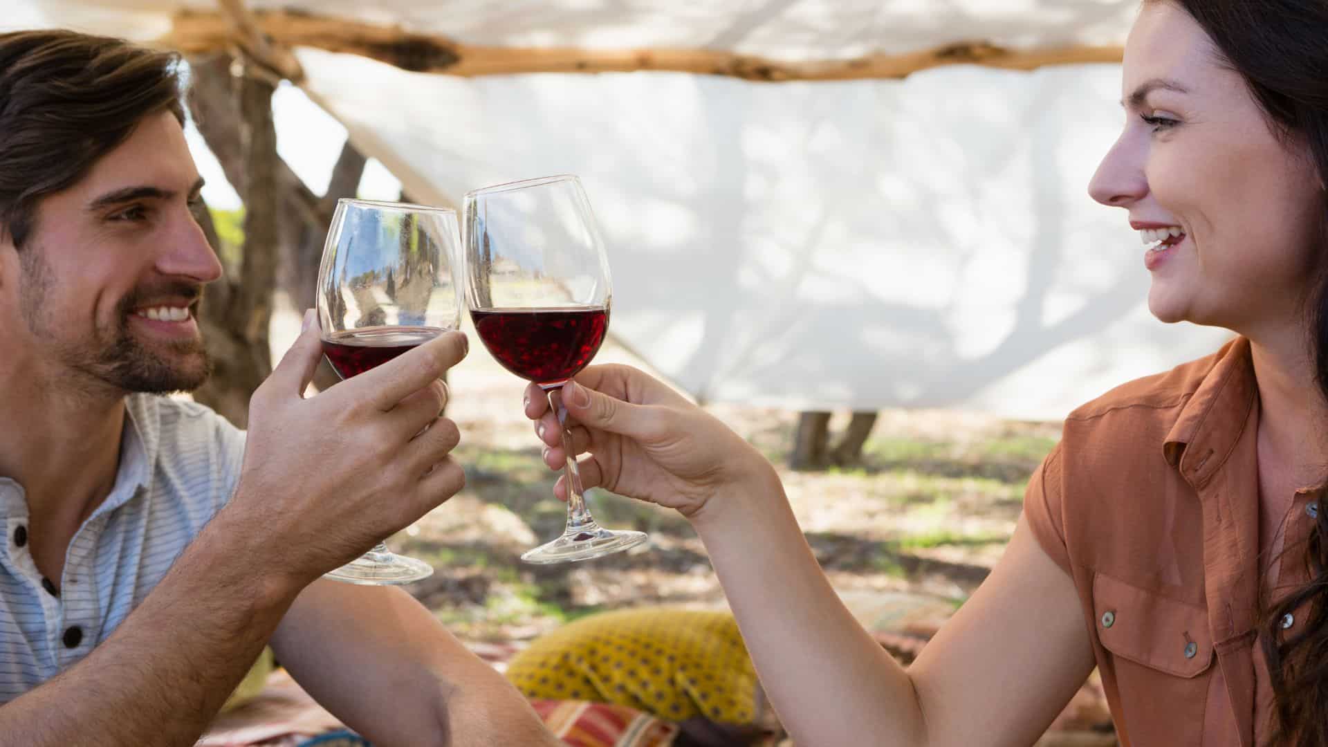 The Sun, the Hills, and a Pour: Your Wine Tasting Tour Okanagan Starts Here 