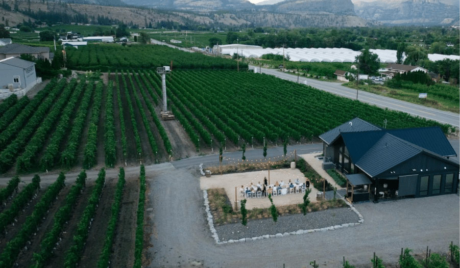 Wine Tasting
