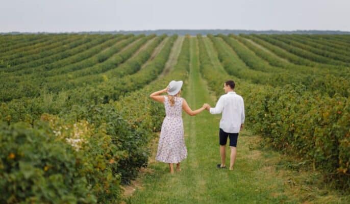 Oliver Wine Tours