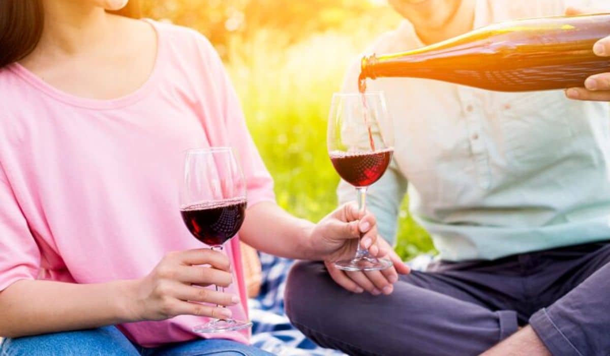Oliver BC Wine Tours